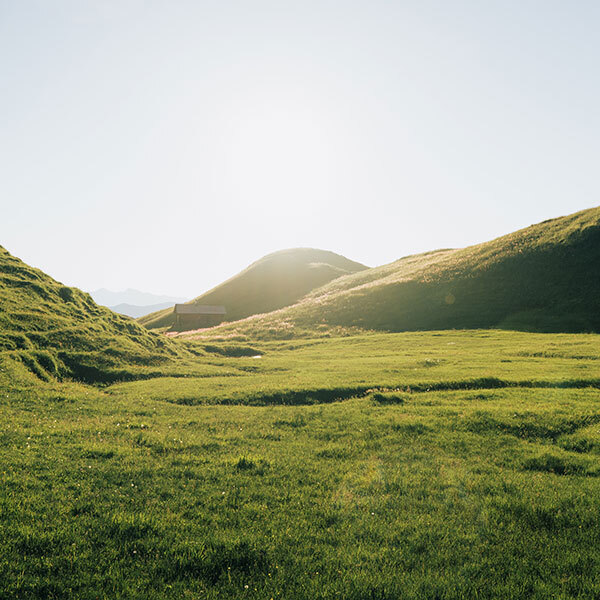 &Uuml;berblick & Empfehlungen